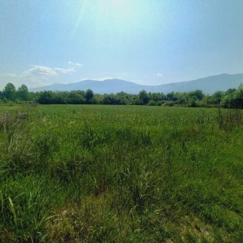 زمین کشاورزی