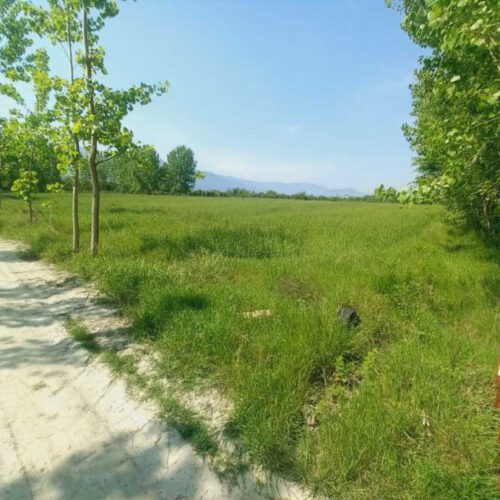 زمین کشاورزی