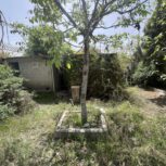 زمین 500 متری زکی اباد کردان