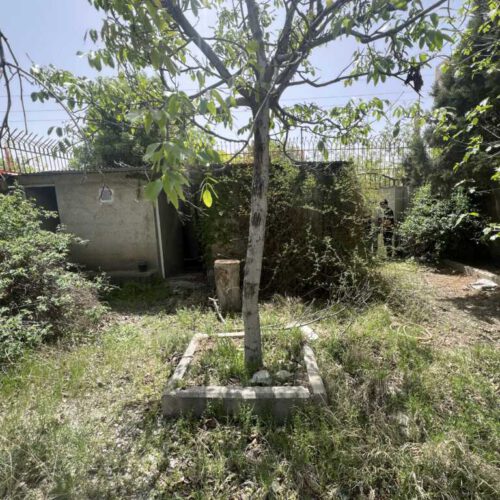 زمین 500 متری زکی اباد کردان
