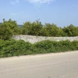 فروش زمین باغی