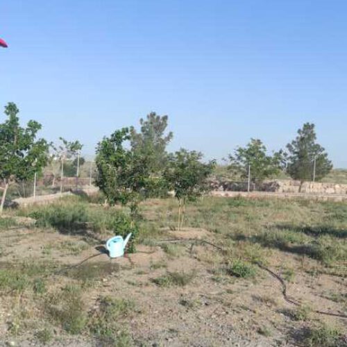 فروش زمین