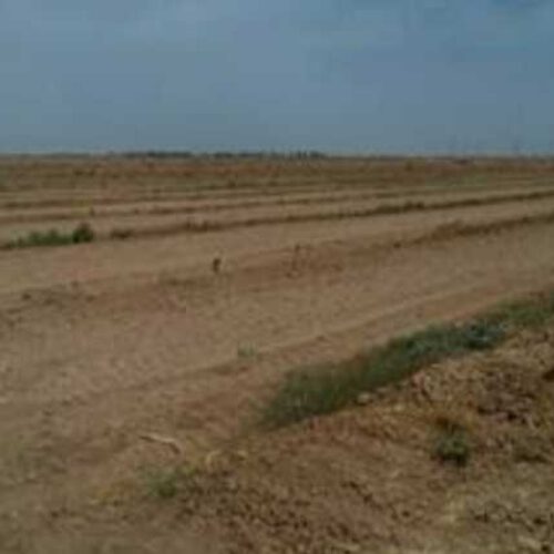 فروش زمین هزار متری