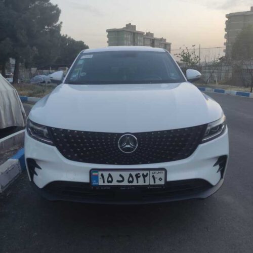 دیگنیتی پرستیژ داخل مارون تحویل اسفند 1402