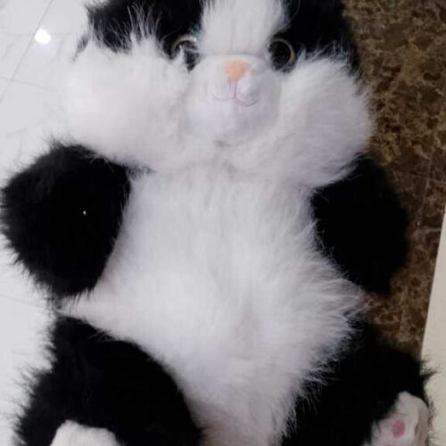 تم و عروسک پونی