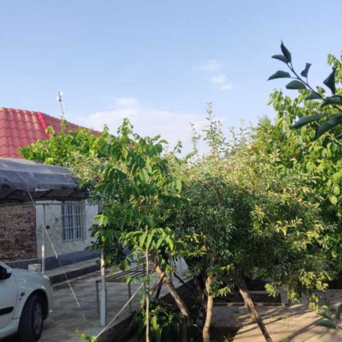 باغ ویلا مجموعه پرنیان