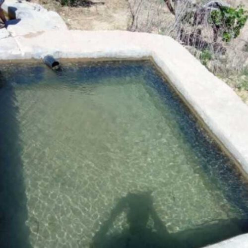 600 متر زمین با درخت‌های بادام و انواع میوه