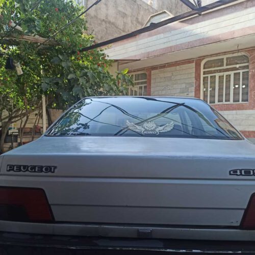 405 دوگانه شرکت مدل 88