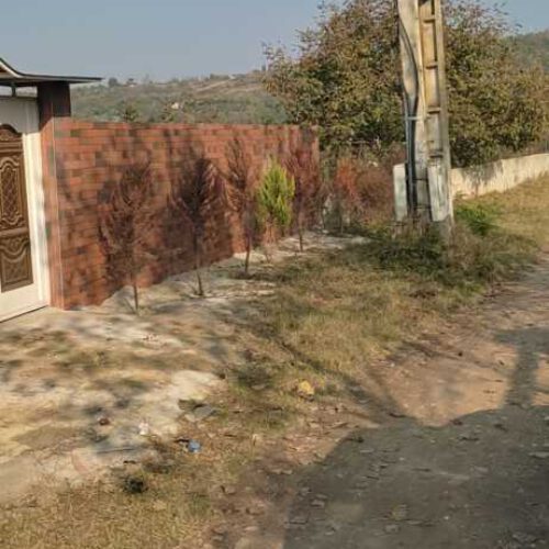 فروش زمین باغی