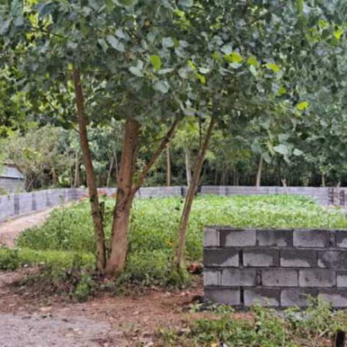 350 متر مربع زمین مسکونی