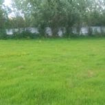 زمین کشاورزی جز طرح هادی