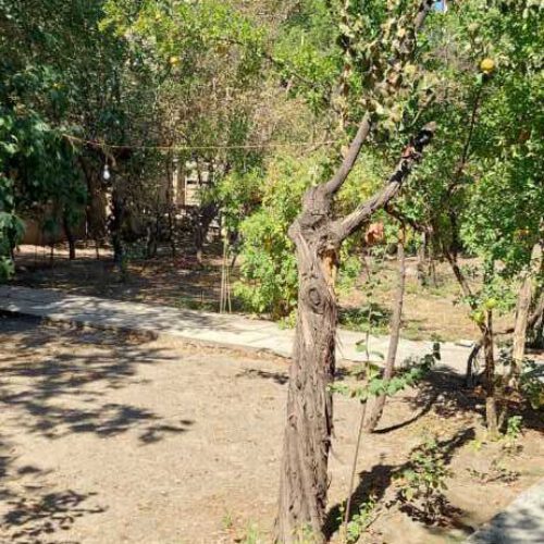 1145متر فروش جون میده واسه تالار