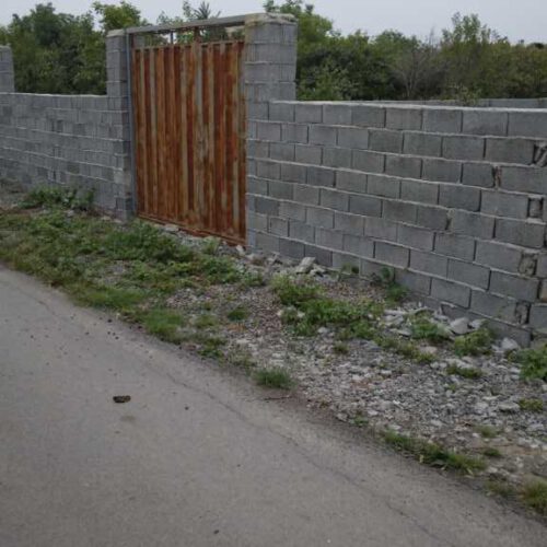 زمین مسکونی169 متر روستای زیبای صورت
