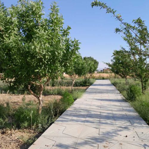 باغ 850متر ی با اب