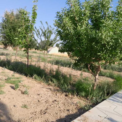 باغ 850متر ی با اب