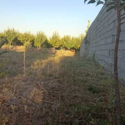 زمین و باغ