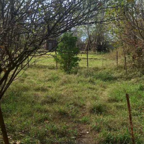 زمین کشاورزی با قابلیت ساخت