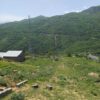 260متر زمین،در روستای چهارفصل کارمزد800000000 میلیون