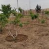 350 متر زمین بحر خیابان
