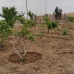 350 متر زمین بحر خیابان