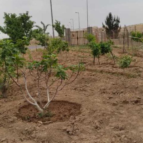 350 متر زمین بحر خیابان