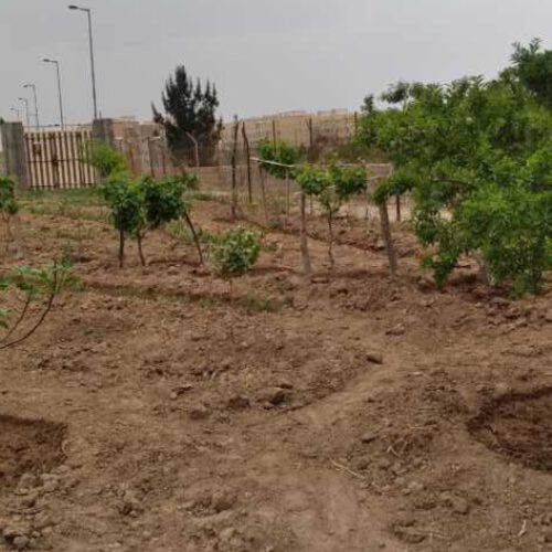 350 متر زمین بحر خیابان