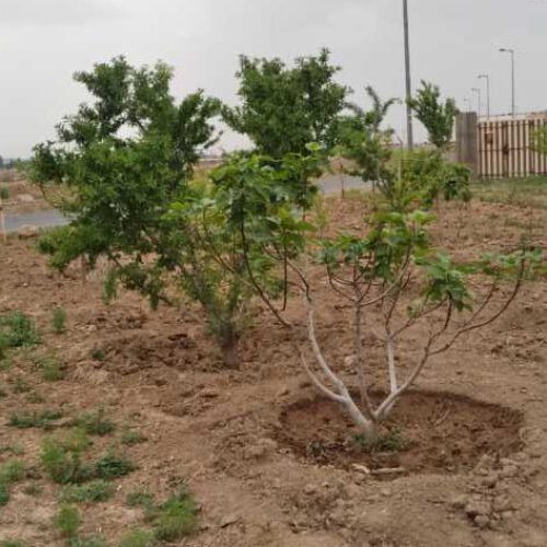 350 متر زمین بحر خیابان