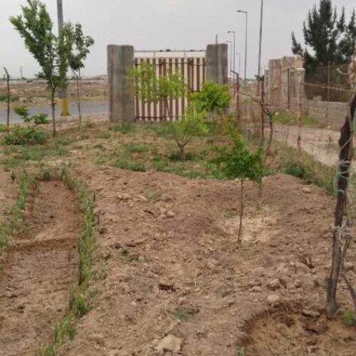 350 متر زمین بحر خیابان