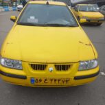 سمند زرد خطی