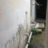 خانه کلنگی تهاتر و معاوضه با آپارتمان آمل
