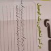 ریو مونتاژ مدل 1387