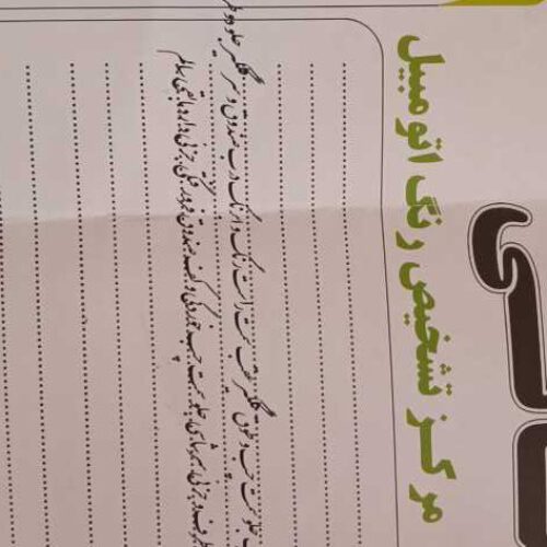 ریو مونتاژ مدل 1387