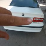 سمندسفید