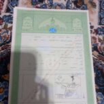 زمین کشاورزی