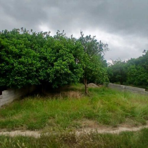 زمین بافت مسکونی روستا هتکه پشت بابل