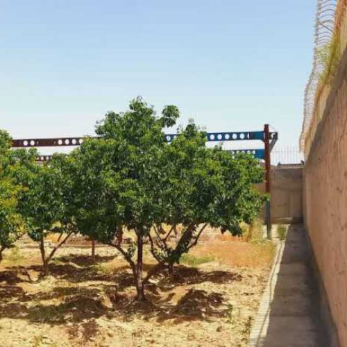 فروش باغ ویلا