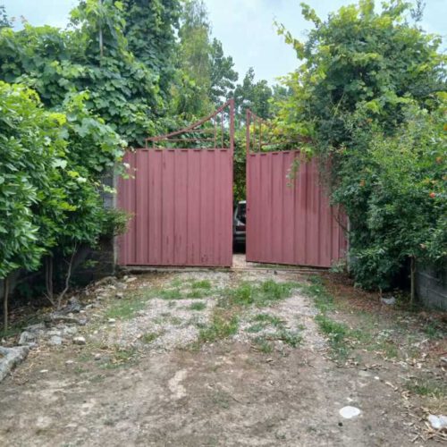 باغ میوه در جویبار