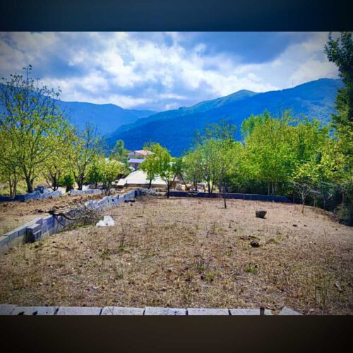 100مترزمین ییلاقی خوش آب و هواواقع در سوادکوه