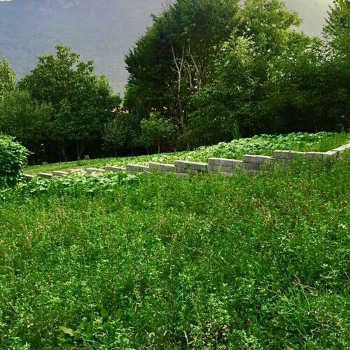 100مترزمین ییلاقی خوش آب و هواواقع در سوادکوه