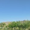 باغ 2500 متری در سمیرم حاجی آبادخوش آب و هوا