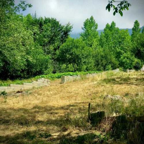 100مترزمین ییلاقی خوش آب و هواواقع در سوادکوه