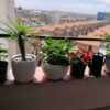 آپارتمان 64 متری ساماندهی