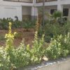 اپارتمان 75 متری در منطقه 21 ورداورد