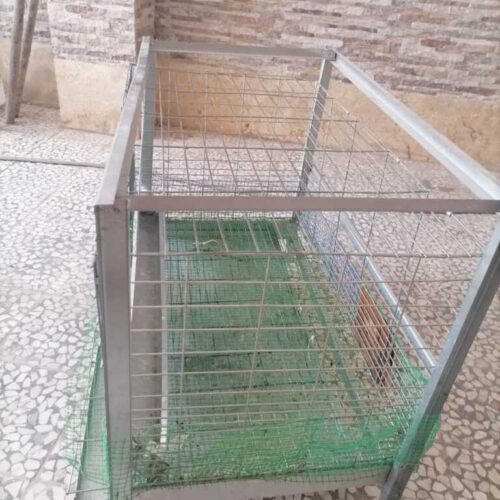 یک قفس یک طبقه مرغ تخم گذار