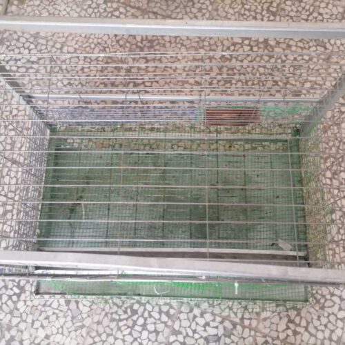 یک قفس یک طبقه مرغ تخم گذار
