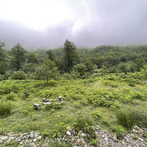 زمین پیانکش نرسیده به سماکوش محله