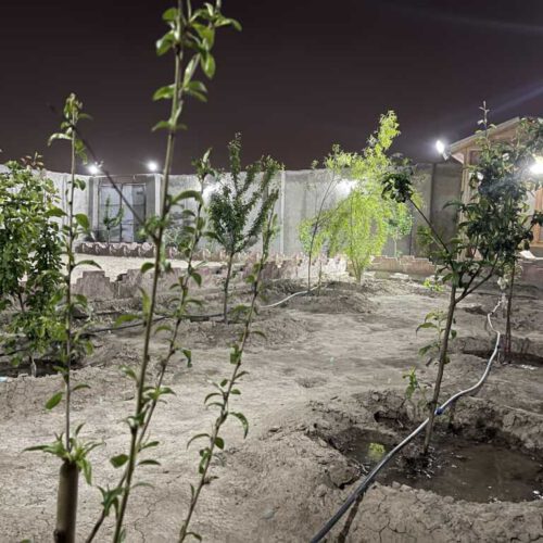 زمین باغچه ای چهاردیواری 242 متر با کاربری مسکونی و ویلایی