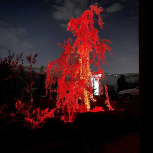 زمین باغچه ای چهاردیواری 242 متر با کاربری مسکونی و ویلایی