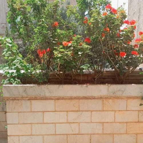 اجاره ویلا 140متری، بدون حضور مالک