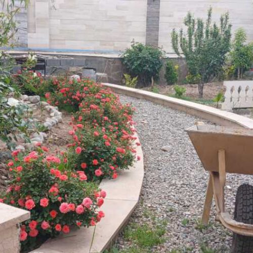 باغچه ویلا 500 متری